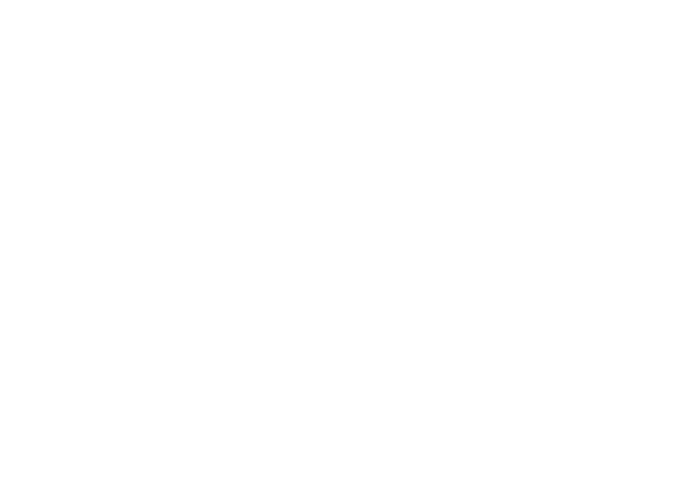 Logo 39